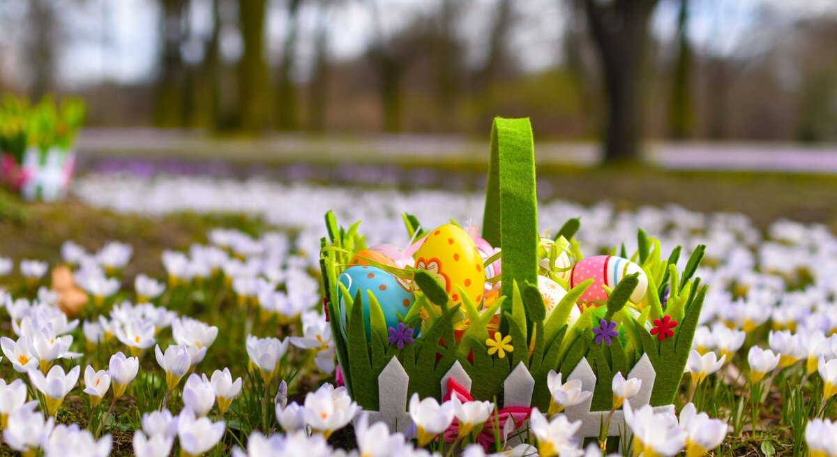 Ein Osterkörbchen aus Filz mit bunten Eiern steht inmitten blühender weißer Krokusse auf einer Frühlingswiese.