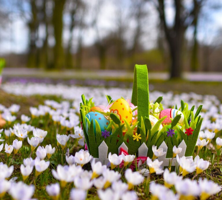 Ein Osterkörbchen aus Filz mit bunten Eiern steht inmitten blühender weißer Krokusse auf einer Frühlingswiese. | © Adobe Stock/Gestaltomat