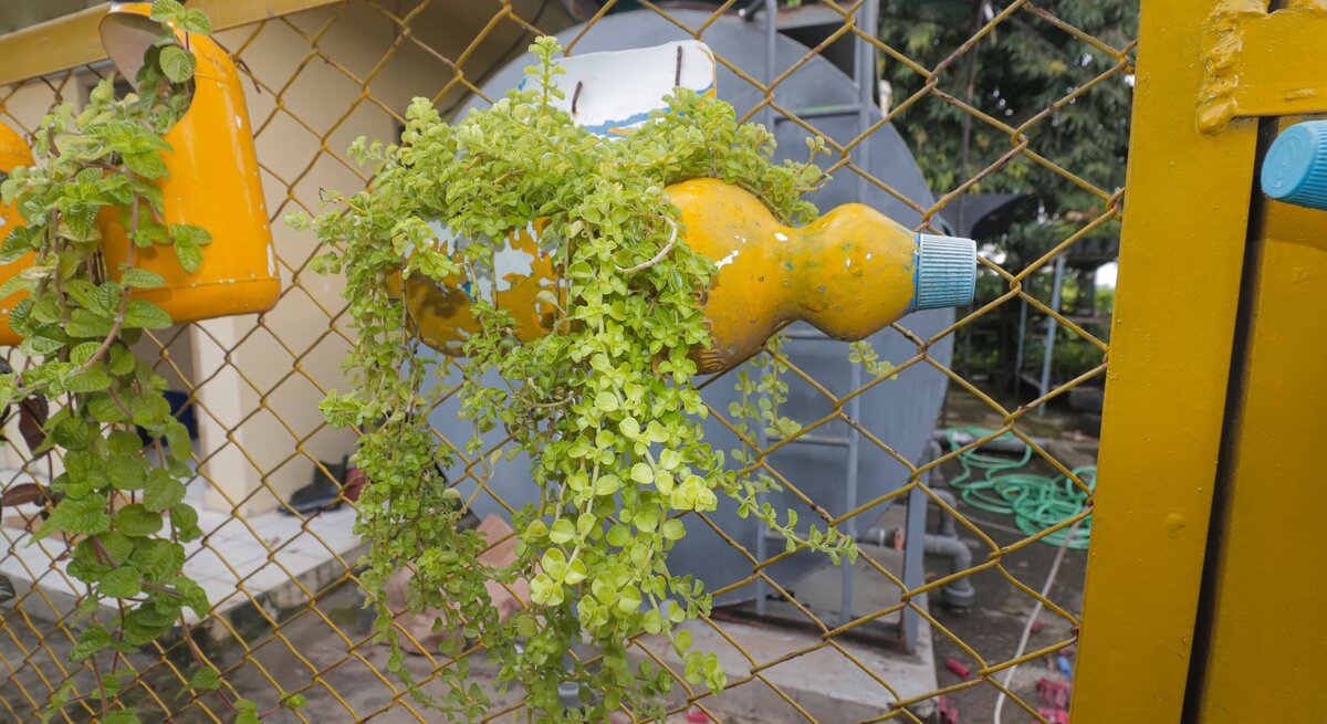Upcycling-Blumentopf aus Waschmittelflasche mit dichter Grünpflanze, horizontal am Zaun vor Werkstatthof befestigt.