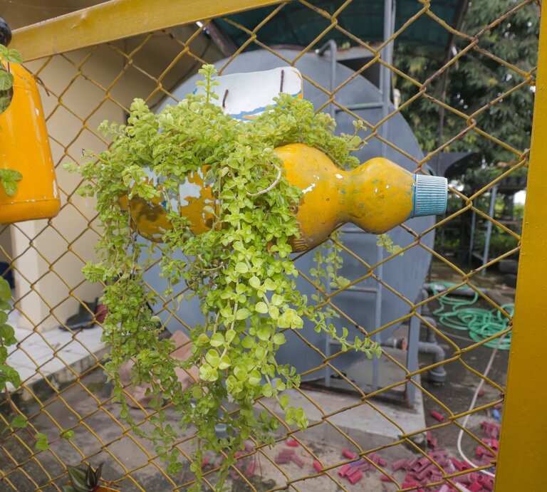 Upcycling-Blumentopf aus Waschmittelflasche mit dichter Grünpflanze, horizontal am Zaun vor Werkstatthof befestigt. | © Shutterstock/ARI HUSAINI