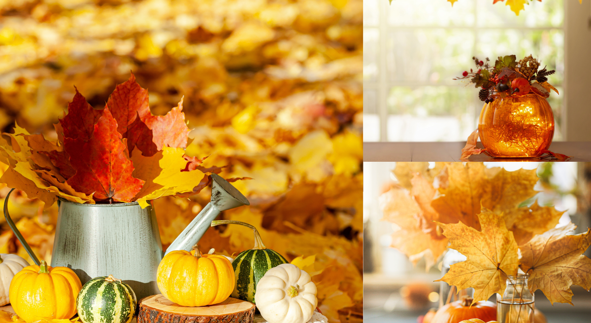 Herbstliche Deko mit Kürbissen, Trockenblumen und bunten Ahornblättern auf Tischen vor goldgelbem Laub und sonnendurchflutetem Fenster.