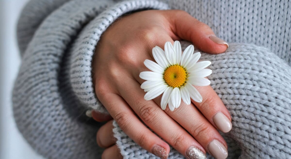 Zarte Frauenhände mit beiger und glitzernder Maniküre halten eine weiße Margerite auf grauem Strickpullover.