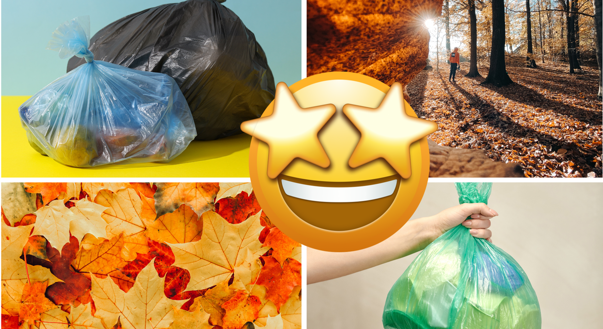 Eine Collage aus Mülltüten, buntem Herbstlaub, einem Waldspaziergang im Sonnenlicht und einem Emoji mit leuchtenden Sternaugen.