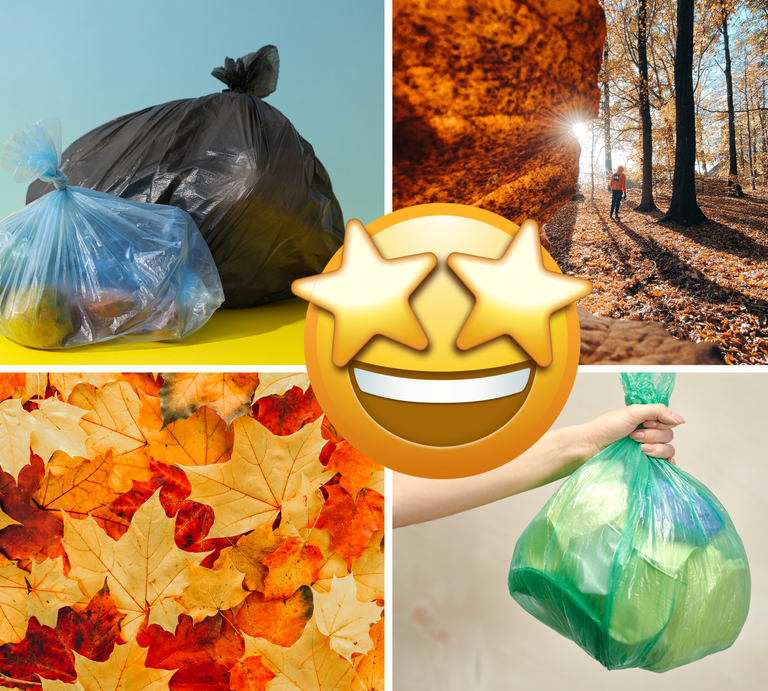 Eine Collage aus Mülltüten, buntem Herbstlaub, einem Waldspaziergang im Sonnenlicht und einem Emoji mit leuchtenden Sternaugen. | © Collage: bildderfrau.de; Canva