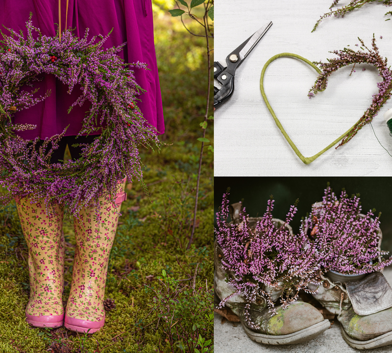 Kranz aus Heidekraut, Herz aus Draht mit Heide, alte Schuhe bepflanzt mit Heide – herbstliche Dekoideen in Wald und Zuhause. | © Canva/Shutterstock/Sandra Koka/ Frau Agnes/ Agnes Kantaruk/Collage:bildderfrau.de