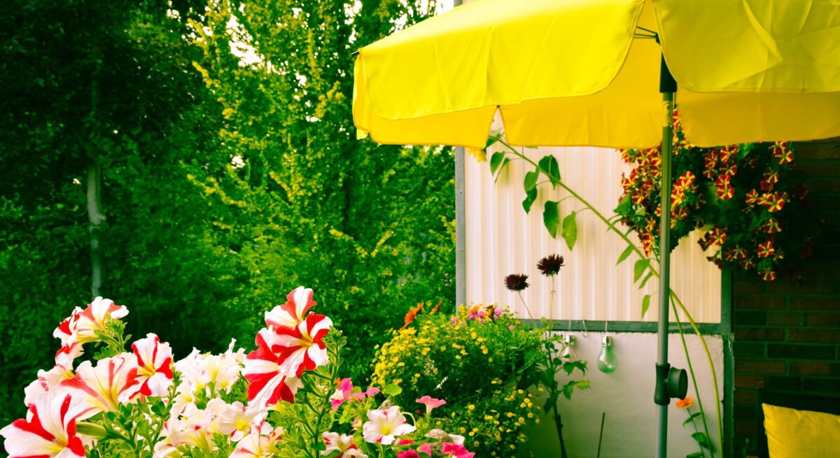 Garten mit blühenden Petunien und gelbem Sonnenschirm, im Hintergrund dichte grüne Bäume.