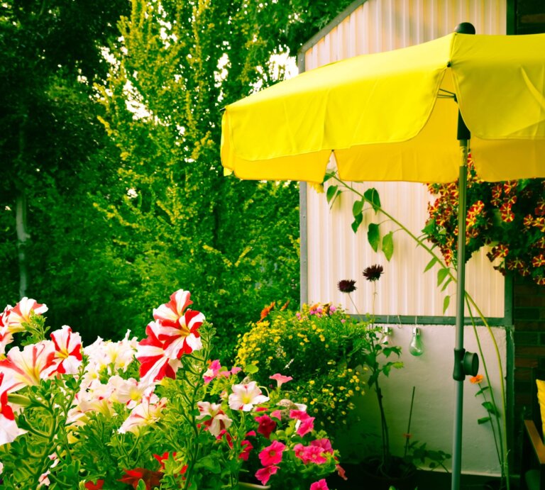 Garten mit blühenden Petunien und gelbem Sonnenschirm, im Hintergrund dichte grüne Bäume. | © Adobe Stock/Andrea