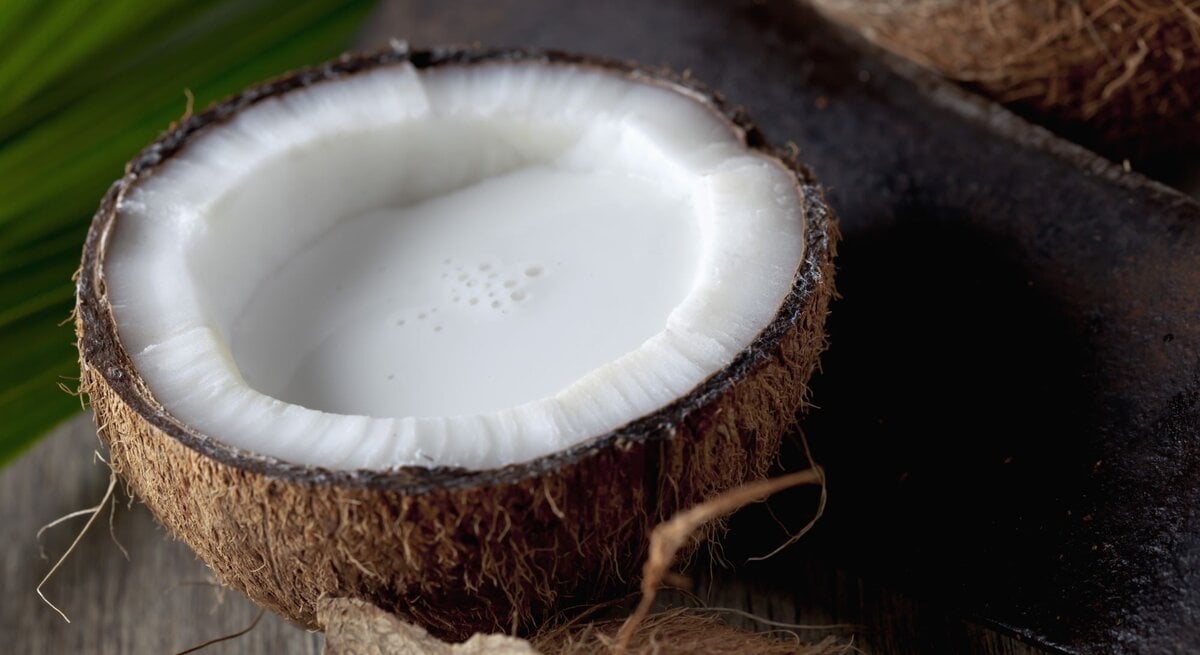 Geöffnete Kokosnuss mit frischer Kokosmilch auf einem Holztisch, im Hintergrund grüne Palmenblätter.