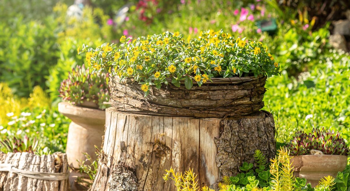 Ein Baumstumpf im Garten mit einem Blumenkorb voller gelber Blüten, umgeben von grünem Laub und bunten Blumen.