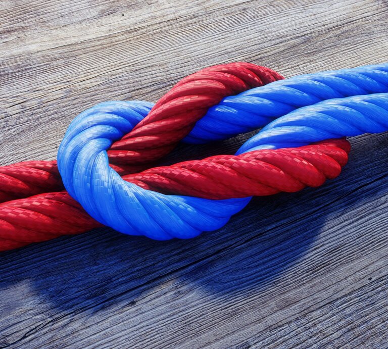 Rote und blaue Taue sind eng verknotet auf einem Holzboden. | © Adobe Stock/peterschreiber.media
