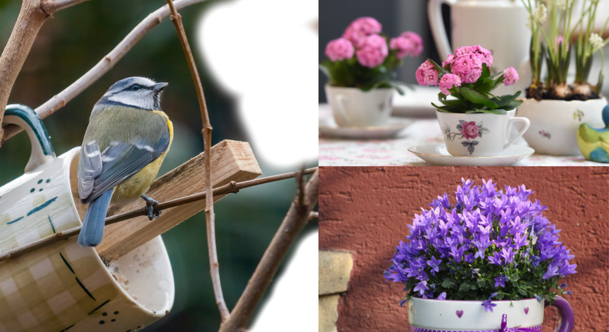 Eine Blaumeise sitzt auf einem Ast neben einer Tasse, rechts stehen blühende Frühlingsblumen dekorativ in Vintage-Teetassen.