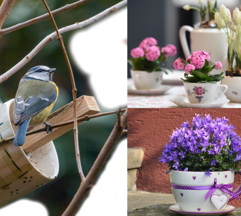Eine Blaumeise sitzt auf einem Ast neben einer Tasse, rechts stehen blühende Frühlingsblumen dekorativ in Vintage-Teetassen. | © Canva/Collage:bildderfrau.de