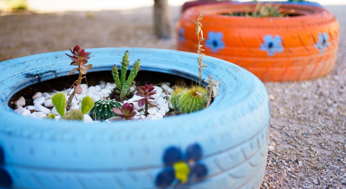 Bunte bemalte Autoreifen dienen als DIY-Pflanzgefäße für verschiedene Sukkulenten und Kakteen, im Vordergrund ein blauer Reifen mit Kieselsteinen.