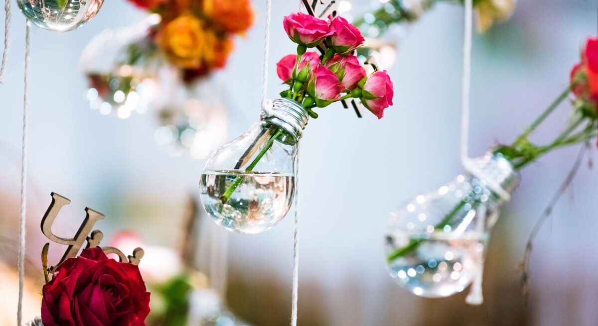 Hängende Glühbirnen mit Wasser und farbenfrohen Rosenblüten vor unscharfem Hintergrund