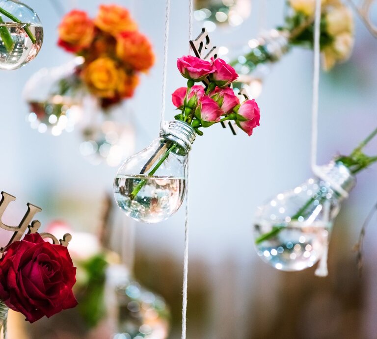 Hängende Glühbirnen mit Wasser und farbenfrohen Rosenblüten vor unscharfem Hintergrund | © GettyImages/Jeremy Bentham