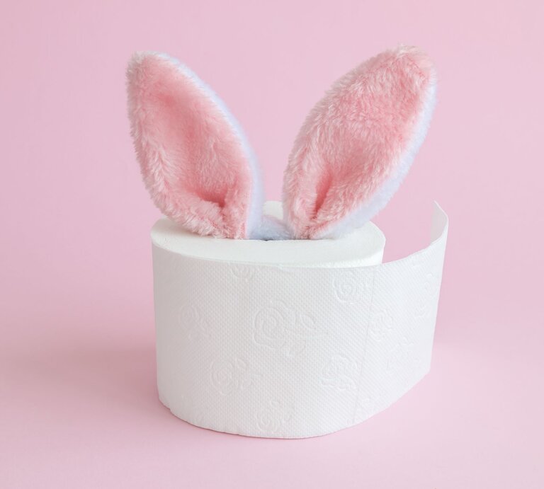 Ein Rollenkern aus Toilettenpapier mit einem Paar rosa Hasenohren, die daraus hervorstehen, vor einem pastellrosa Hintergrund. Die Szene wirkt wie eine kreative Osterdekoration. | © Gettyimages/zoff-photo