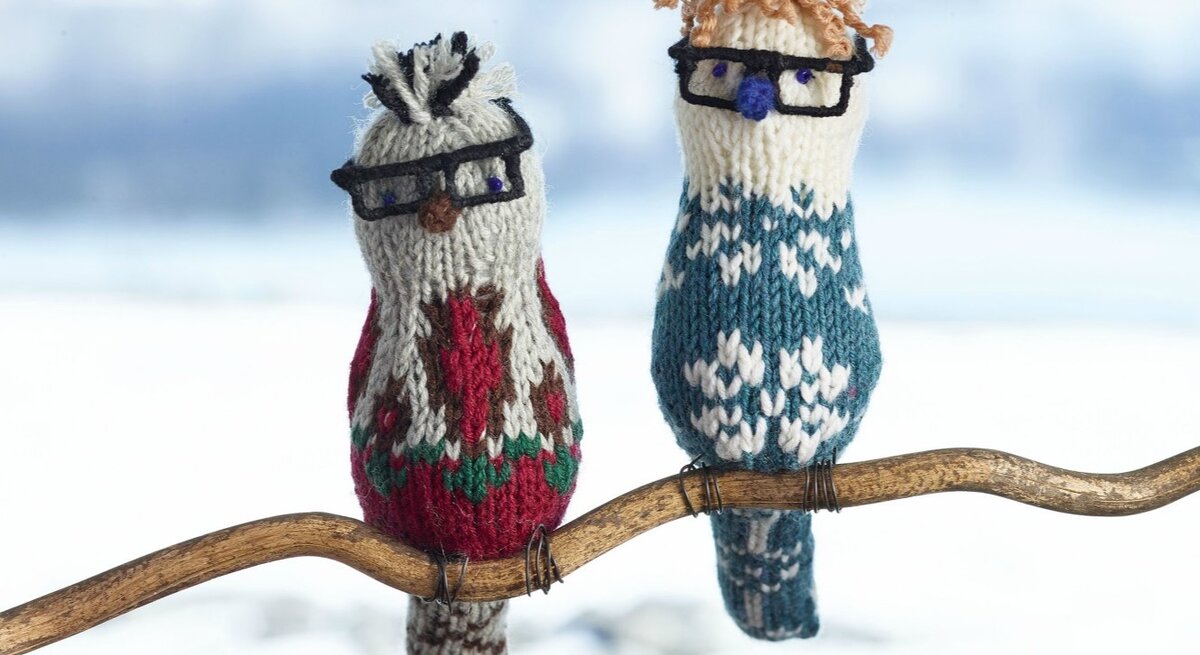 Zwei gestrickte Vogelfiguren auf einem Ast: Die linke hat ein rotes Gestrick mit grünen und weißen Mustern, trägt eine schwarze Brille und hat eine kleine gestrickte Nase. Die rechte hat ein weiß-blau gestricktes Muster, trägt ebenfalls eine schwarze Brille und hat lockiges, braunes Haar oben auf dem Kopf. Im Hintergrund ist verschwommen eine schneebedeckte Landschaft zu erkennen.