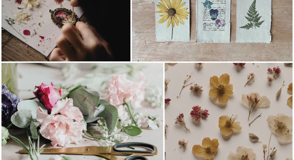 Nahaufnahme verschiedener Bastelszenen mit gepressten Blumen, goldener Schere und handgefertigten Blumenkarten auf Holztisch.