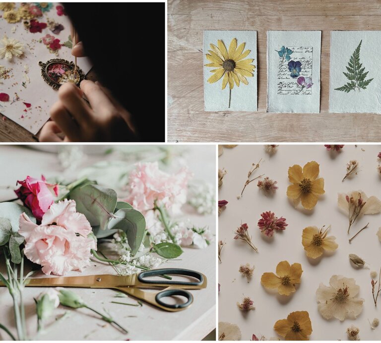 Nahaufnahme verschiedener Bastelszenen mit gepressten Blumen, goldener Schere und handgefertigten Blumenkarten auf Holztisch. | © Collage: bildderfrau.de; Adobe Stock/  J.C. Huesch; Canva