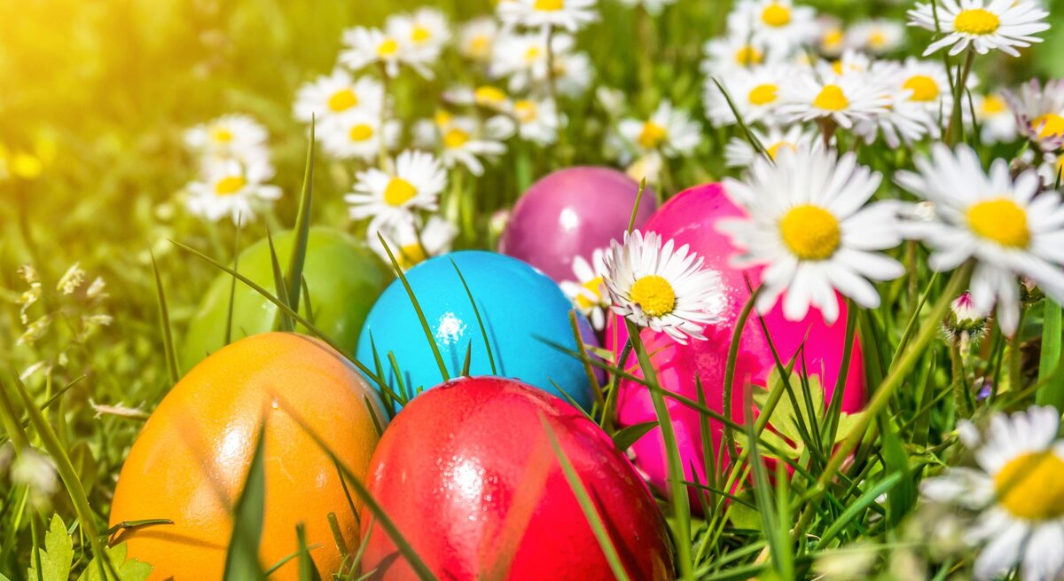 Bunte Ostereier liegen zwischen blühenden Gänseblümchen im grünen Gras, im Hintergrund leuchtet warmes Sonnenlicht.