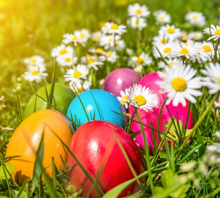 Bunte Ostereier liegen zwischen blühenden Gänseblümchen im grünen Gras, im Hintergrund leuchtet warmes Sonnenlicht. | © AdobeStock/JFL Photography
