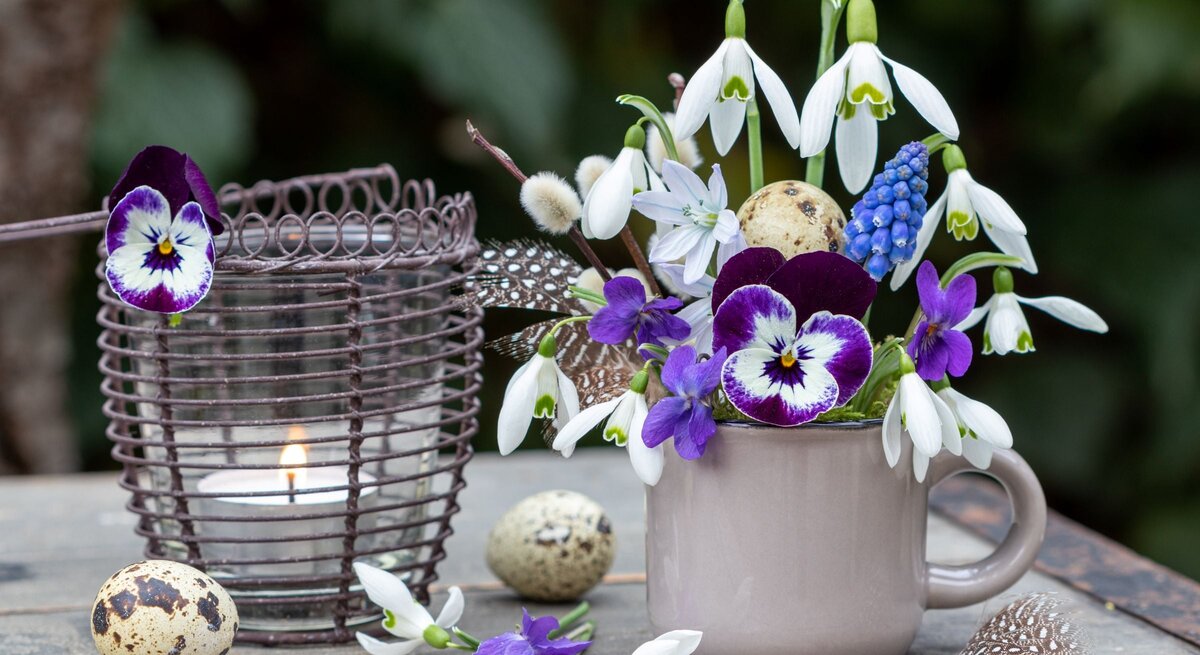 Frühlingshaftes Arrangement aus weißen Schneeglöckchen, lila Veilchen und blauer Traubenhyazinthe in grauer Tasse neben Kerzenlaterne.