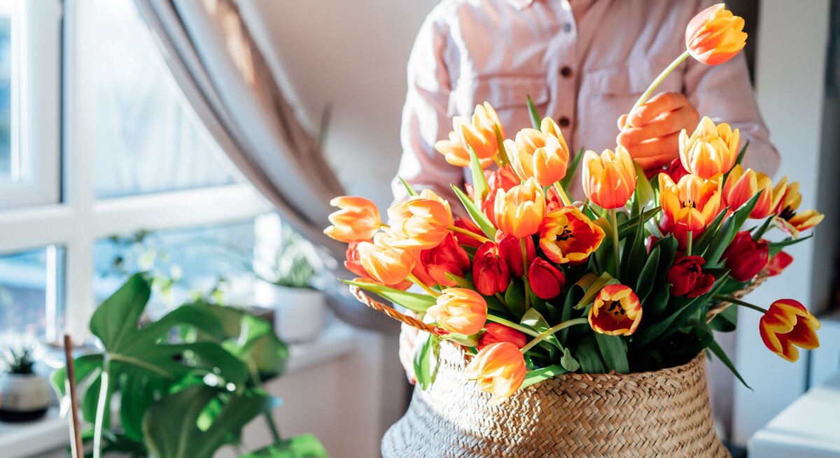 Hände einer jungen Person setzen frische Tulpen in Gelb und Rot in einen Korb, neben einem Fenster mit grüner Zimmerpflanze.