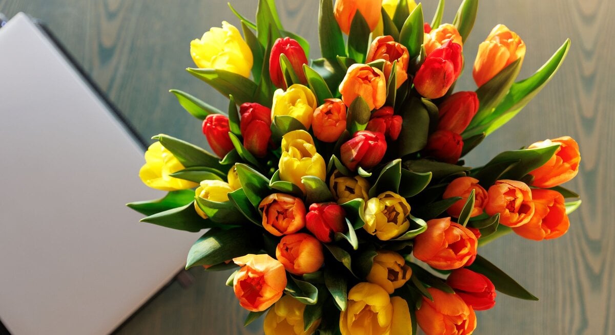 Bunter Tulpenstrauß in Gelb, Orange und Rot liegt auf Holztisch neben geschlossenem silberfarbenem Laptop im Sonnenlicht.