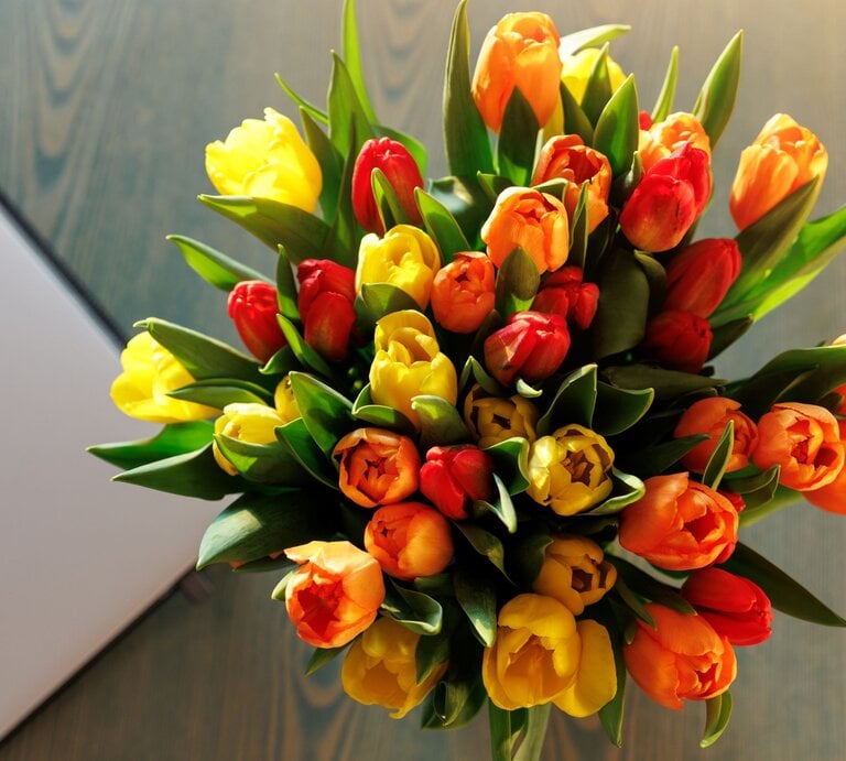 Bunter Tulpenstrauß in Gelb, Orange und Rot liegt auf Holztisch neben geschlossenem silberfarbenem Laptop im Sonnenlicht. | © Shutterstock/K-FK