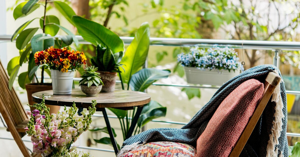 Gnstig und schick: Lidl-Blumentpfe verschnern Garten und Balkon