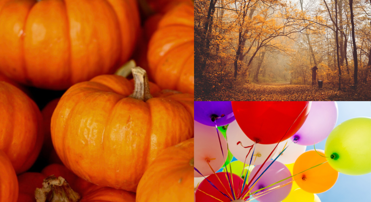 Leuchtende Kürbisse, ein nebliger Waldweg mit herbstlich goldenen Bäumen und bunte Luftballons vor strahlend blauem Himmel.