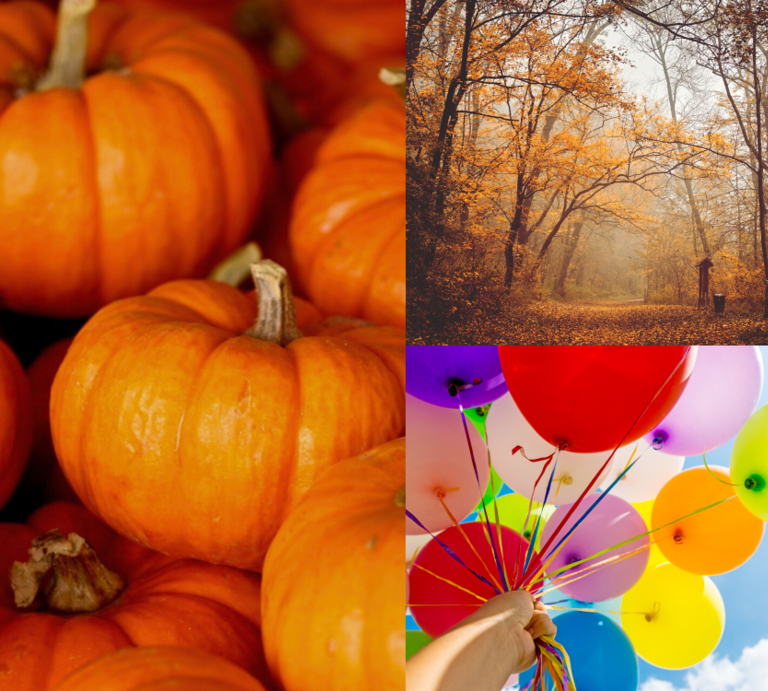 Leuchtende Kürbisse, ein nebliger Waldweg mit herbstlich goldenen Bäumen und bunte Luftballons vor strahlend blauem Himmel. | © Canva/Collage:bildderfrau.de