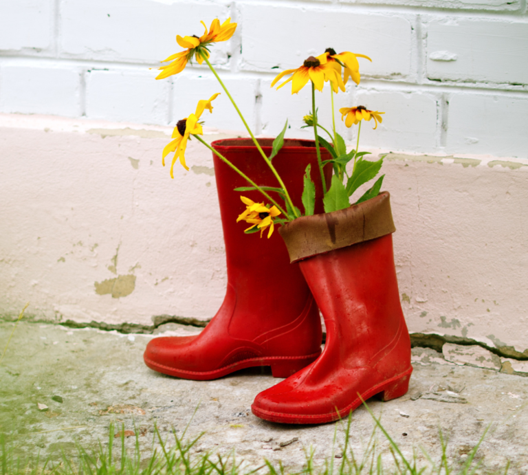 Zwei gelbe Gummistiefel mit pinken Blumen auf Pflastersteinen, daneben rote Stiefel mit Sonnenhutblüten vor heller Wand. | © Canva/Collage: bildderfrau.de