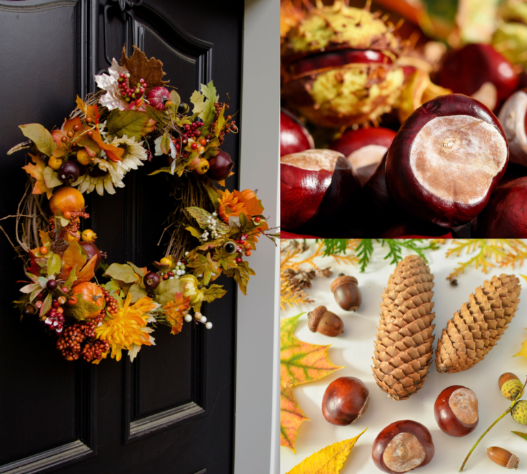 Herbstkranz mit Kastanien an dunkler Tür, daneben glänzende Kastanien, Tannenzapfen, Eicheln und buntes Laub auf hellem Untergrund arrangiert. | © Canva/Collage:bildderfrau.de