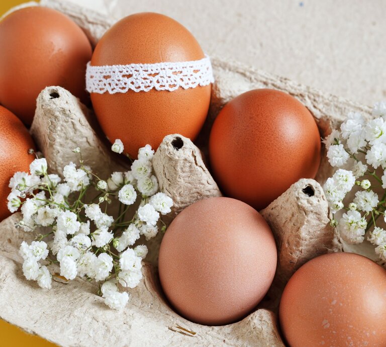 Ein Eierkarton aus Pappe enthält mehrere braune Eier. Eines der Eier ist mit einer dekorativen weißen Spitzenborte umwickelt. Zwischen den Eiern sind kleine Zweige mit weißen Blüten drapiert, was dem Ganzen eine frühlingshafte und österliche Atmosphäre verleiht. Der Hintergrund ist gelb, was den warmen, fröhlichen Charakter der Komposition betont. | © gettyimages/	yrabota