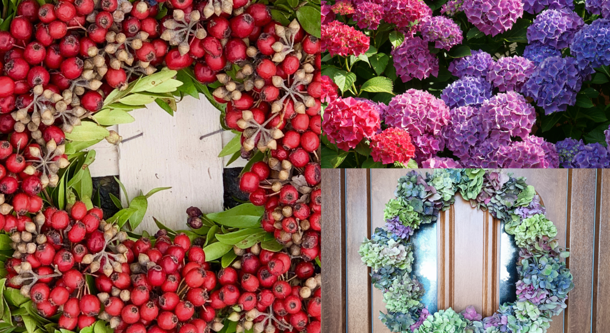 Drei florale Arrangements: roter Beerenkranz, blühende Hortensien in Lila und Pink, pastellfarbener Türkranz aus Trockenblüten.