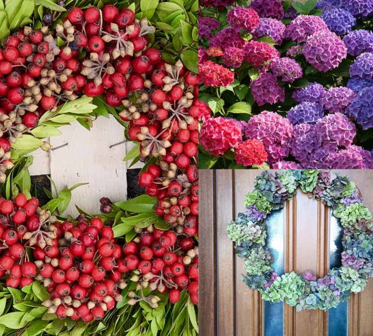 Drei florale Arrangements: roter Beerenkranz, blühende Hortensien in Lila und Pink, pastellfarbener Türkranz aus Trockenblüten. | © Canva/Collage:bildderfrau.de