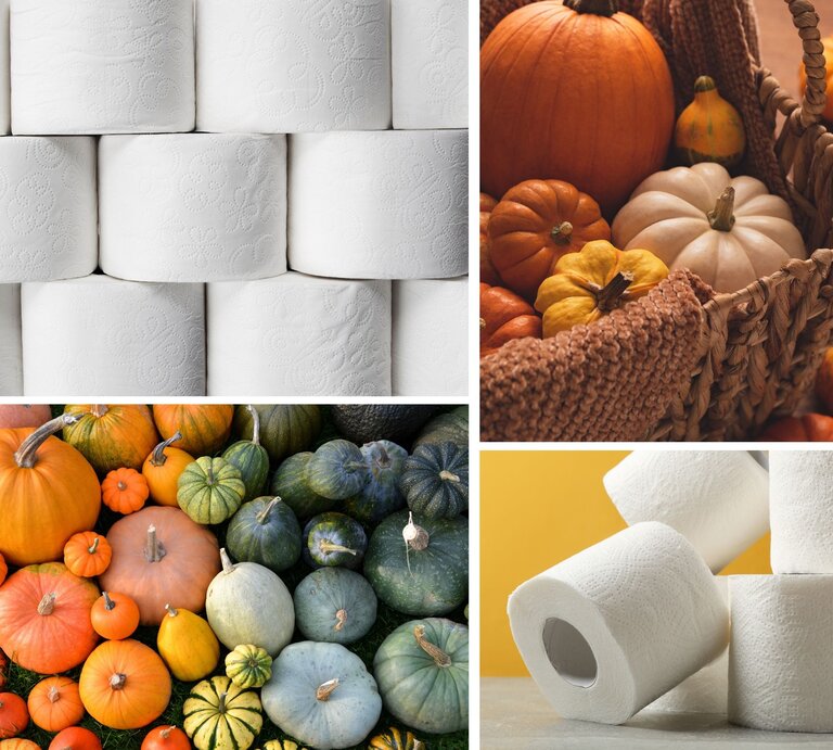 Bunte Kürbisse und Zierkürbisse in Orange, Grün und Gelb, eng aneinander angeordnet auf einer Wiese mit sattem Grün. | © Collage: bildderfrau.de; Canva