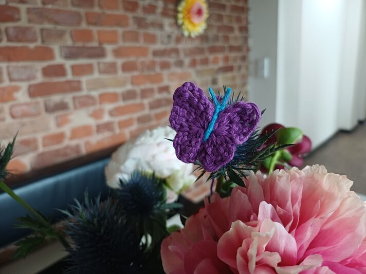 Lila Häkel-Schmetterling auf einer Distelblüte, umgeben von rosa Pfingstrosen in einem Raum mit Backsteinwand. | © privat