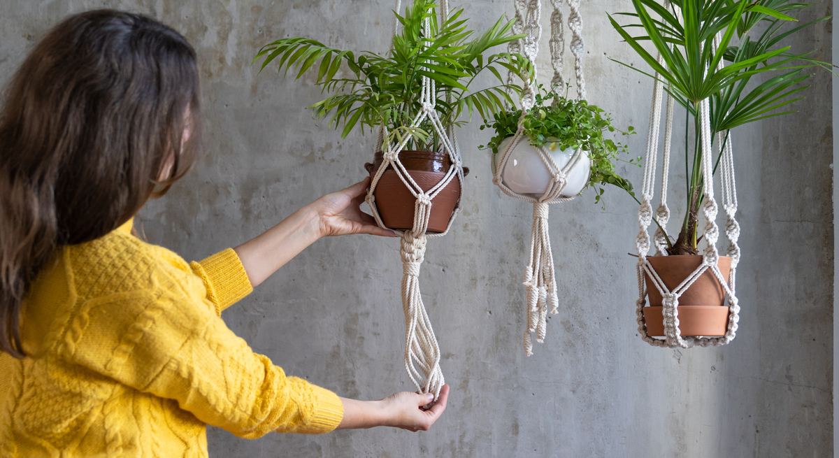 Eine Frau mit braunem Haar und gelbem Strickpullover hängt einen Topf mit grünem Farn in Makramee vor einer grauen Wand auf. | © Canva