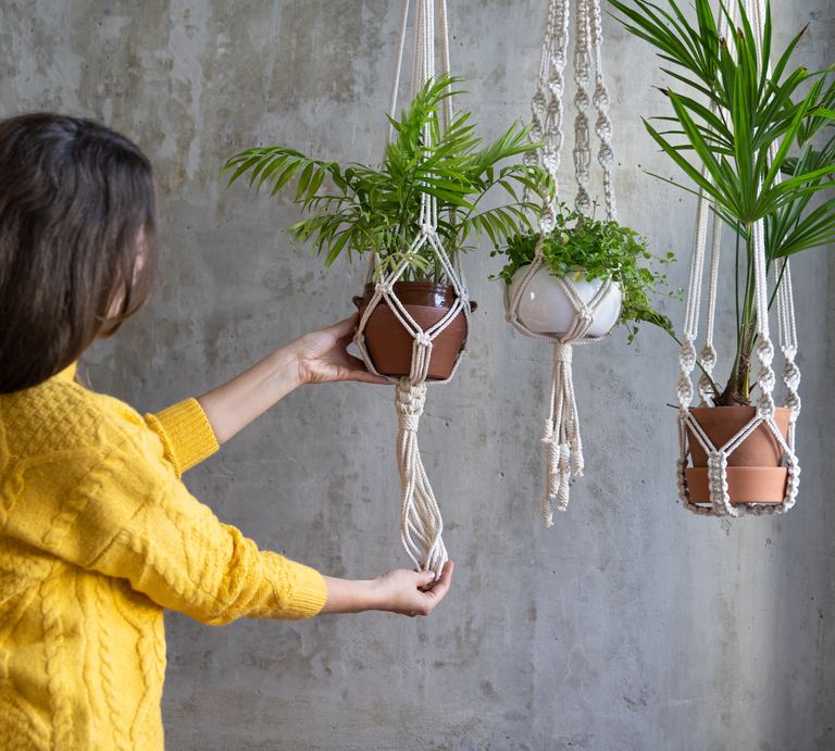 Eine Frau mit braunem Haar und gelbem Strickpullover hängt einen Topf mit grünem Farn in Makramee vor einer grauen Wand auf. | © Canva