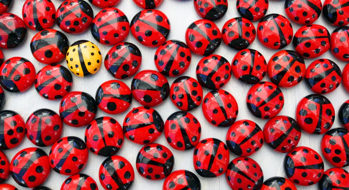 Zahlreiche rote Marienkäfer-Dekosteine mit schwarzen Punkten liegen auf hellem Stoff, dazwischen sticht ein gelbes Exemplar hervor.
