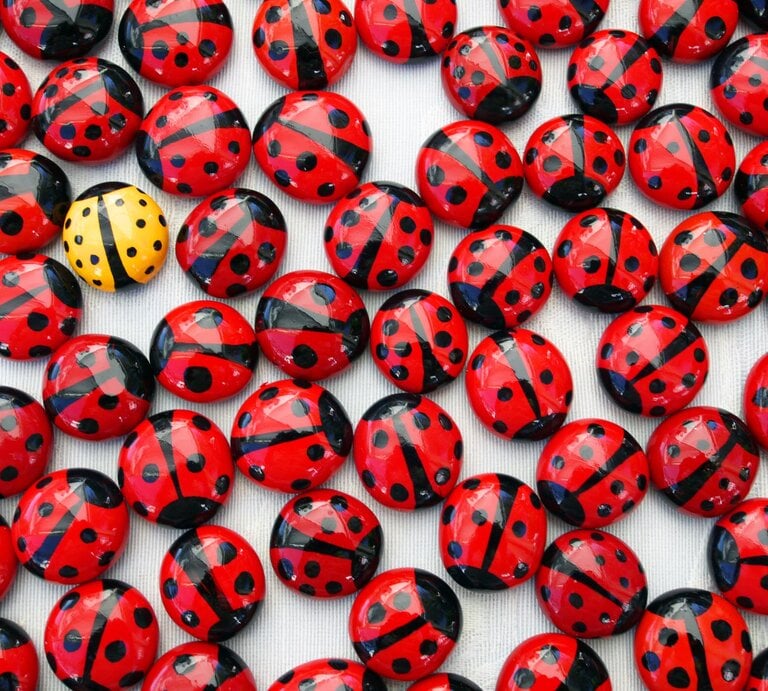Zahlreiche rote Marienkäfer-Dekosteine mit schwarzen Punkten liegen auf hellem Stoff, dazwischen sticht ein gelbes Exemplar hervor. | © GettyImages/Rosmarie Wirz