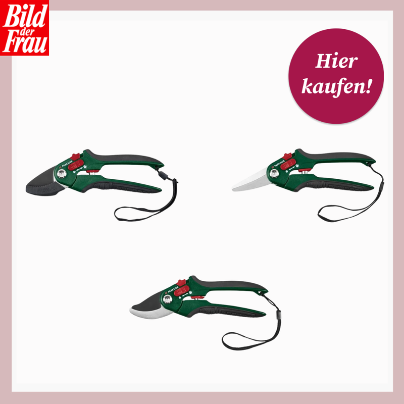 Drei grüne Gartenscheren mit Handschlaufe und rotem Schieberegler zeigen verschiedene Klingenformen vor hellem Hintergrund. | © Lidl/Canva/Collage:bildderfrau.de