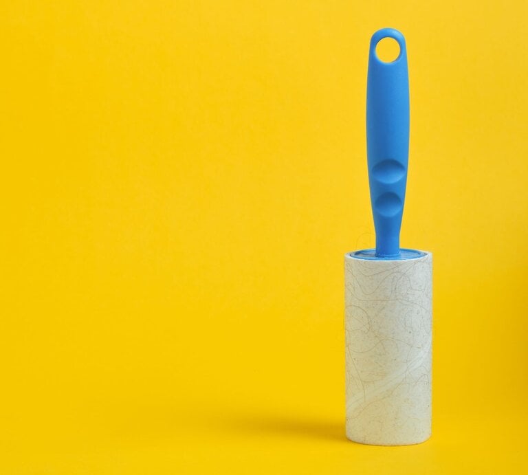 Eine Flusenrolle mit blauem Griff steht vor einem leuchtend gelben Hintergrund. | © AdobeStock/Alexander