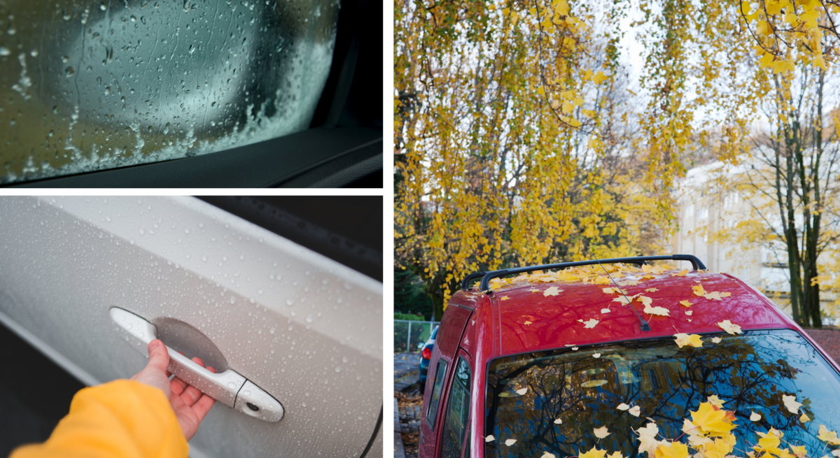 Dreier-Collage: Ein rotes Auto mit gelben Herbstblättern, eine Hand am nassen Türgriff und ein regennasser Autospiegel im Herbst.