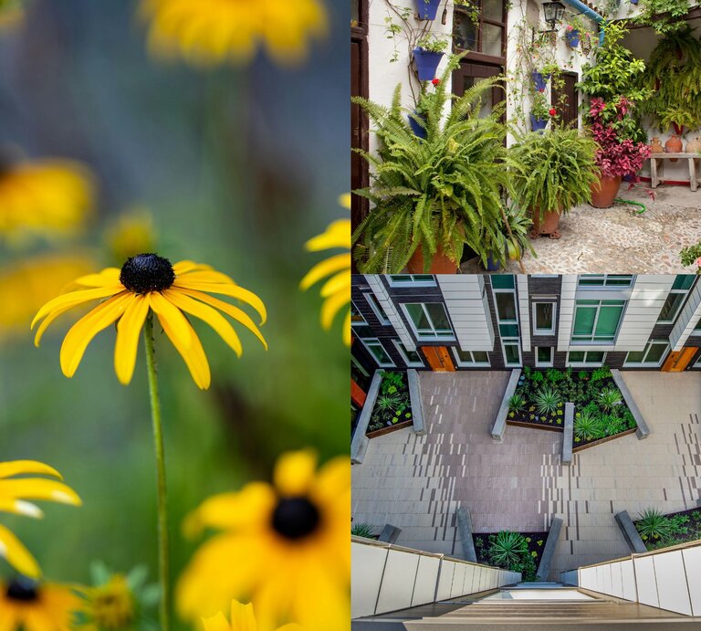 Mediterraner Innenhof mit üppigen Farnen, blühenden Pflanzen und Keramiktöpfen auf Natursteinboden. | © Canva/Collage: bildderfrau.de