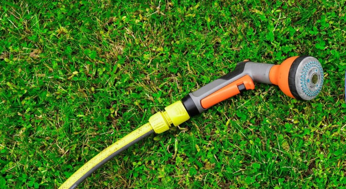 Gartenschlauch auf grünem Rasen mit orangem Sprühkopf und zwei gelben Schwämmen im blauen Kreis daneben.