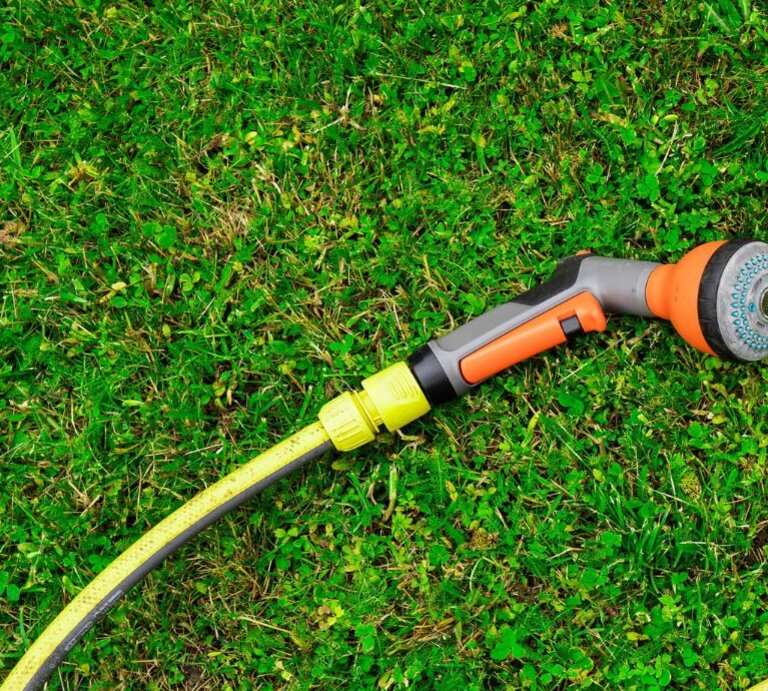 Gartenschlauch auf grünem Rasen mit orangem Sprühkopf und zwei gelben Schwämmen im blauen Kreis daneben. | © Shutterstock/lyvpic/Canva/Collage: bildderfrau.de