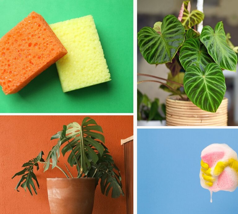 Zwei Reinigungsschwämme in Orange und Gelb liegen nebeneinander vor einem grünen Hintergrund. | © Canva/Collage:bildderfrau.de